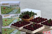 天天吉时高速赋能产业升级：一条“杨梅路”的致富密码